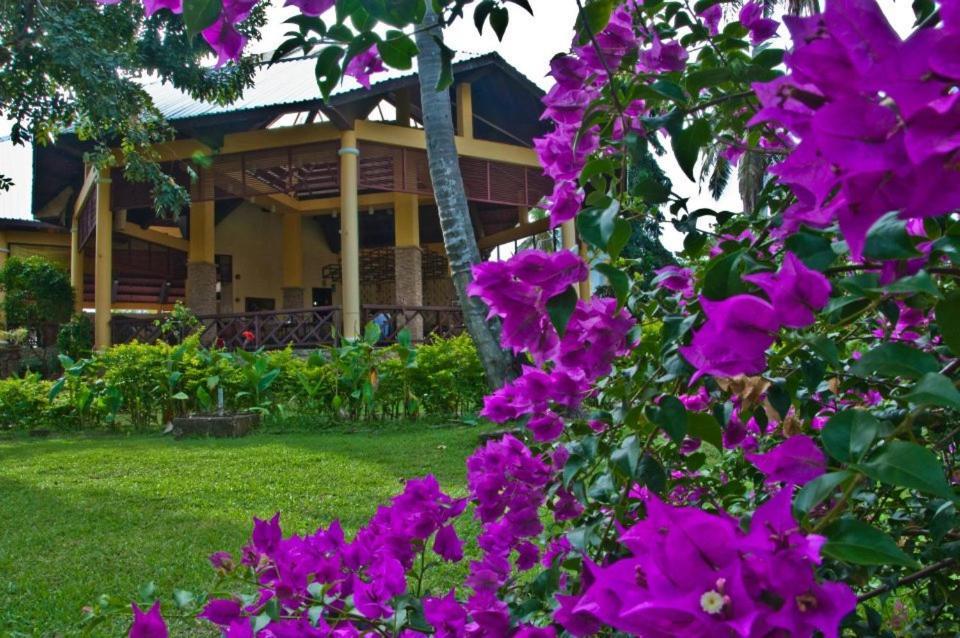 Crystal Paradise Resort Spa & Winery Narra Eksteriør bilde